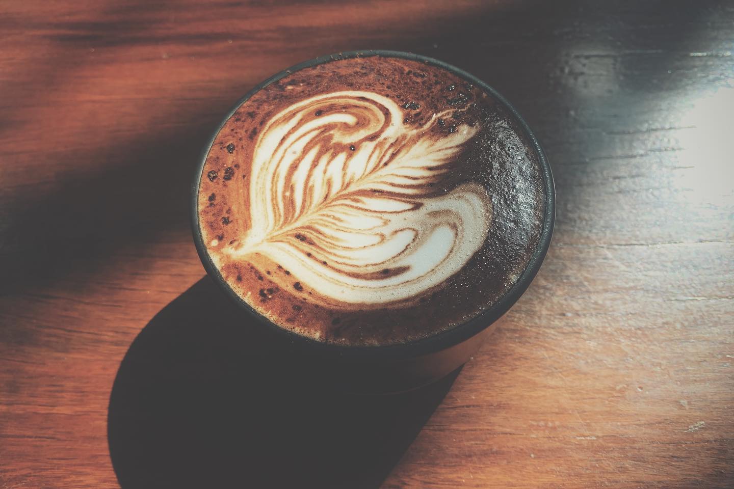 NANA Coffee Roasters, Mmc.bkk, FO SHO BRO, Dear December Cafe, The 66 Cottage, The Black Forest, Bougain Cafe & Crafts, La Mesa Coffee Co., Coffee Station, Gooseberry Coffee Bearing-Lasalle, OOOz.cafe , Shalala Cafe