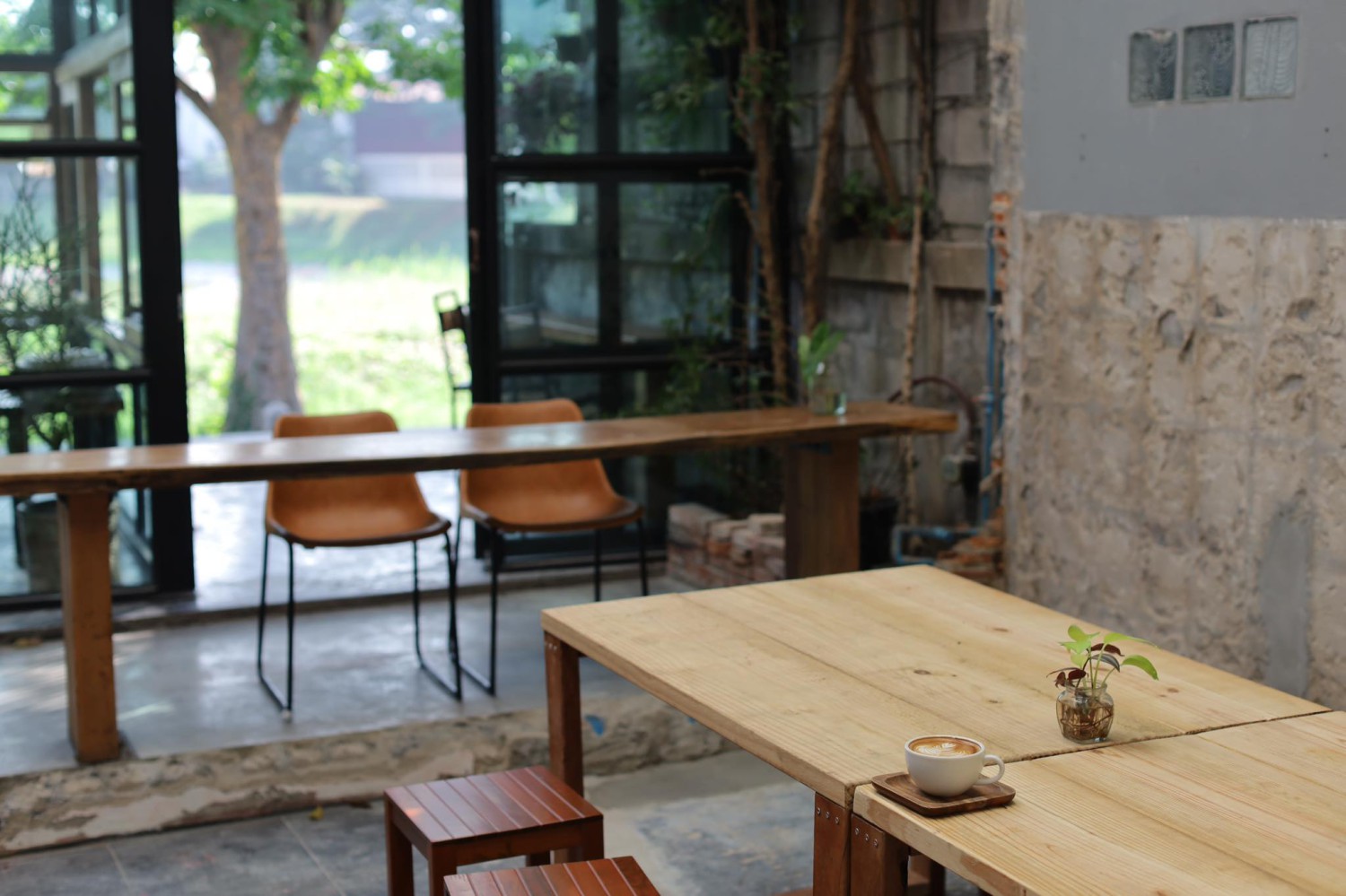 White House Forest, เกษม : KASEM Coffee, Rosie.nak, Luk Labb Coffee, Grande KAFE, KFD in Town, สวรรค์บ้านนา คาเฟ่ Food &amp; Drink, กอหญ้า คาเฟ่, ณ บุ่ง Coffee, polar polar CAFE', Yellow Pumpkin, ร้าน Yellow Pumpkin เปิดบริการตามปกติ 11.00-17.00 น. (ปิดวันพฤหัสบดี), I'm home cafe, ประจำอำเภอ, glinfon, 382 Space Café, La-Moon cafe'