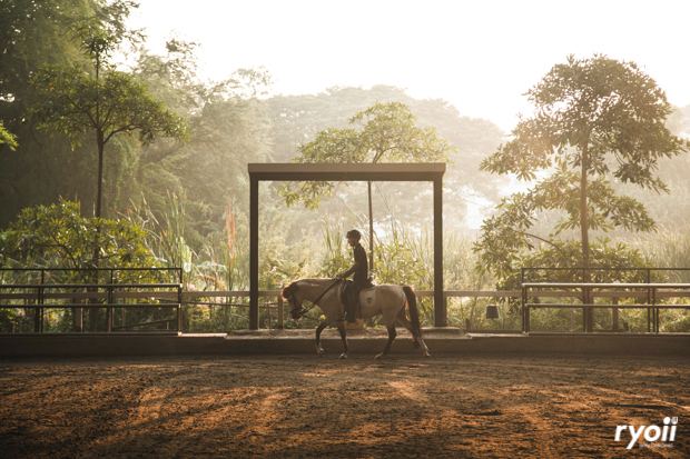 Kiddies’ House, ม้าก้านกล้วย คิดส์คาเฟ่, Little sheep kids cafe, Kickinkids, Moana Cafe, Organika Cafe and Play, Little Barn Kids Cafe, Pumpkin Art Town, DUBUA CAFE, FARM LUCK, Dressage Horse Café, Buttercup, Mari go round