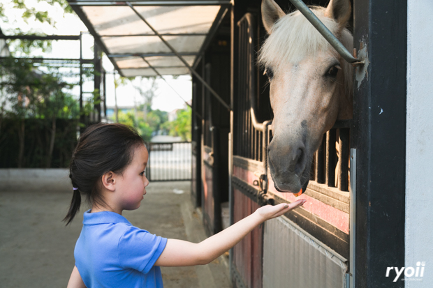 Kiddies’ House, ม้าก้านกล้วย คิดส์คาเฟ่, Little sheep kids cafe, Kickinkids, Moana Cafe, Organika Cafe and Play, Little Barn Kids Cafe, Pumpkin Art Town, DUBUA CAFE, FARM LUCK, Dressage Horse Café, Buttercup, Mari go round
