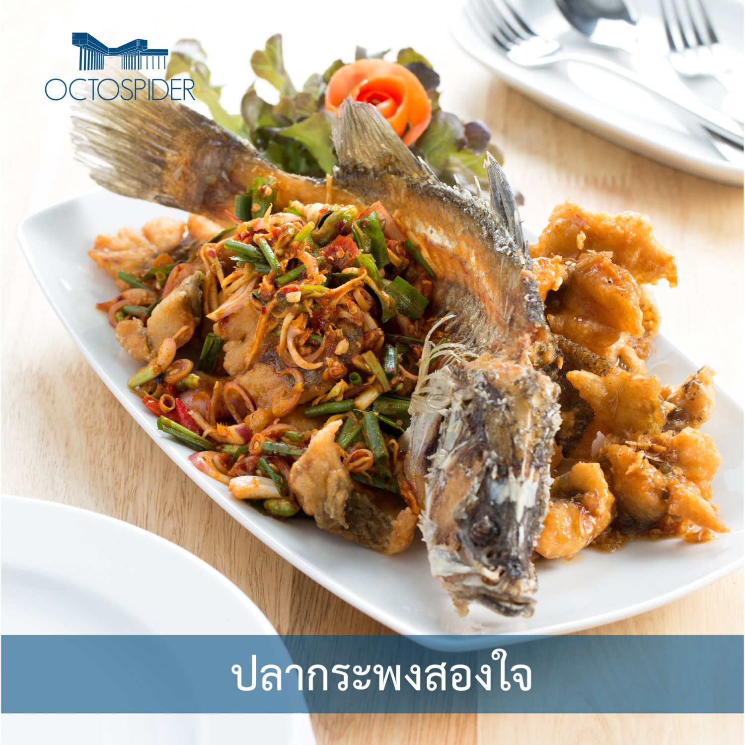 กอบัว, บ้านอาหารไทย, บ้านบัว, บ้านรั้วไม้ Cuisine & Cafe, ครัวหอมมันปู, ร้านไหน อุทยานหินเขางู ราชบุรี, สวนอาหาร รางตาล, Pakmud แซ่บหมูทะ, สาขาโพธาราม, ถึงพริกถึงขิง, มะม่วงคู่, เนื้อต้มบ้านสิงห์ เจ๊ติ๋ม, โกรกแดง, ชุมทางของอร่อย, Mainichi365, Octospider restaurant, Lim cafe Photaram, ครัวตะนาวศรี สวนผึ้ง ราชบุรี, อาตี๋โกปี๊, โอปอชิฟฟ่อนเค้ก, ก๋วยเตี๋ยวปลาแม่กลอง, ติ๋มเค้กมะพร้าวอ่อน, ก๋วยเตี๋ยวโบราณป้าฮวย, โอ่งข้าวโอ่งน้ำ, ครัวม่อนไข่ สวนผึ้ง ราชบุรี, ShabuDo