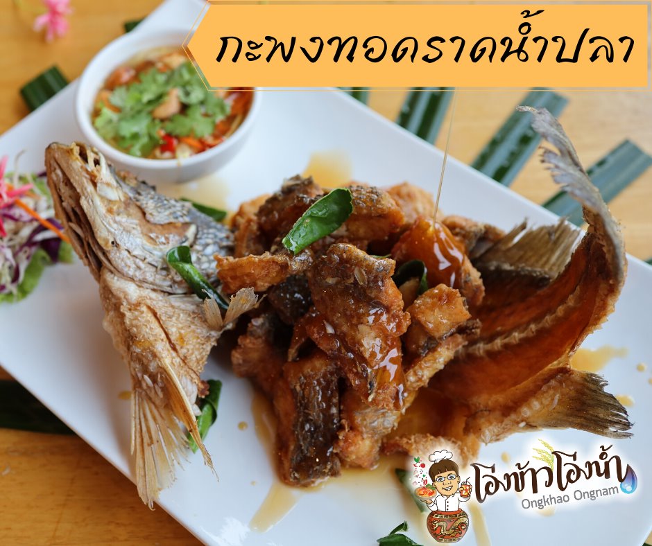 กอบัว, บ้านอาหารไทย, บ้านบัว, บ้านรั้วไม้ Cuisine & Cafe, ครัวหอมมันปู, ร้านไหน อุทยานหินเขางู ราชบุรี, สวนอาหาร รางตาล, Pakmud แซ่บหมูทะ, สาขาโพธาราม, ถึงพริกถึงขิง, มะม่วงคู่, เนื้อต้มบ้านสิงห์ เจ๊ติ๋ม, โกรกแดง, ชุมทางของอร่อย, Mainichi365, Octospider restaurant, Lim cafe Photaram, ครัวตะนาวศรี สวนผึ้ง ราชบุรี, อาตี๋โกปี๊, โอปอชิฟฟ่อนเค้ก, ก๋วยเตี๋ยวปลาแม่กลอง, ติ๋มเค้กมะพร้าวอ่อน, ก๋วยเตี๋ยวโบราณป้าฮวย, โอ่งข้าวโอ่งน้ำ, ครัวม่อนไข่ สวนผึ้ง ราชบุรี, ShabuDo