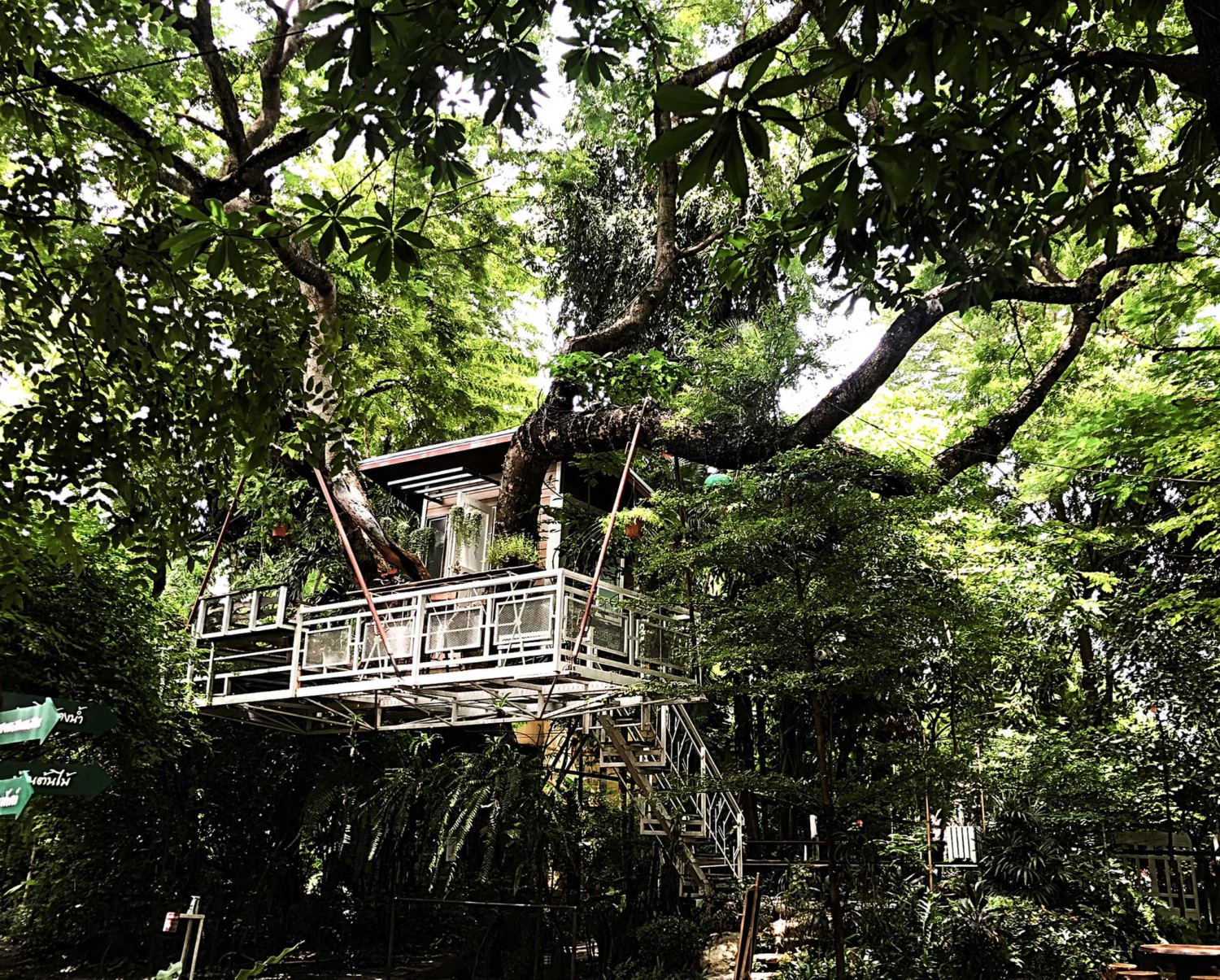 บ้านสวย ในสวน, Siam Brasserie , The Treehouse Nongchok, Natura Cafe, BaanNaiSuan Cafe&Yoga, Patom, Portobello & Désiré, ครัวบ้านสวนสุวรรณ, ร้านอาหารฐิตารีย์ สวนรถไฟ จตุจักร, บ้านสวน อบอวลรัก