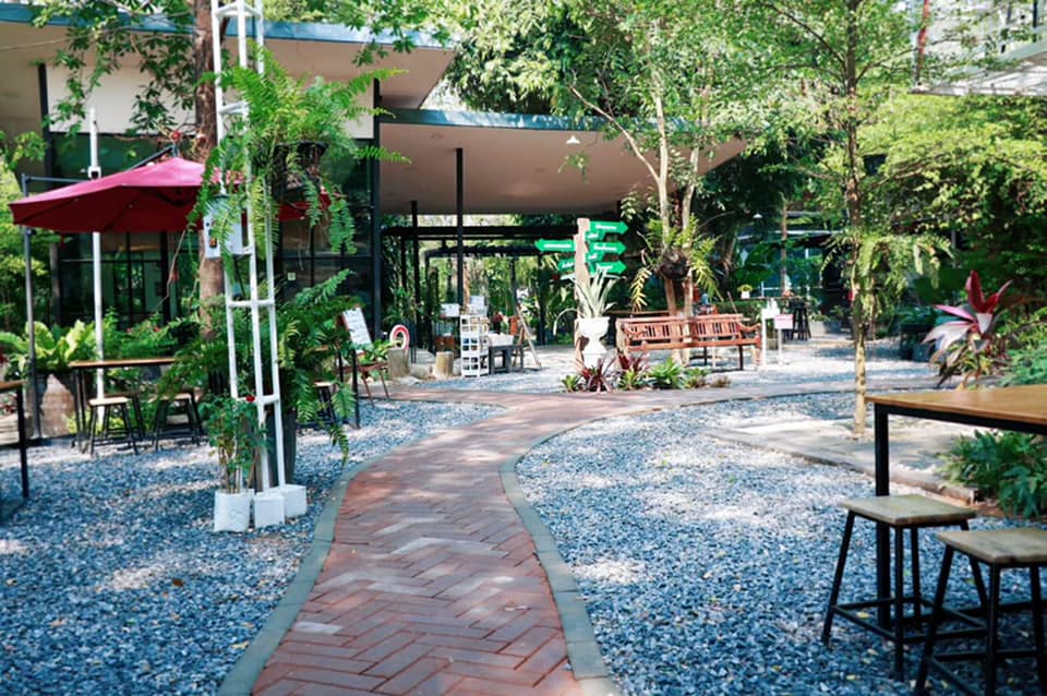 บ้านสวย ในสวน, Siam Brasserie , The Treehouse Nongchok, Natura Cafe, BaanNaiSuan Cafe&Yoga, Patom, Portobello & Désiré, ครัวบ้านสวนสุวรรณ, ร้านอาหารฐิตารีย์ สวนรถไฟ จตุจักร, บ้านสวน อบอวลรัก