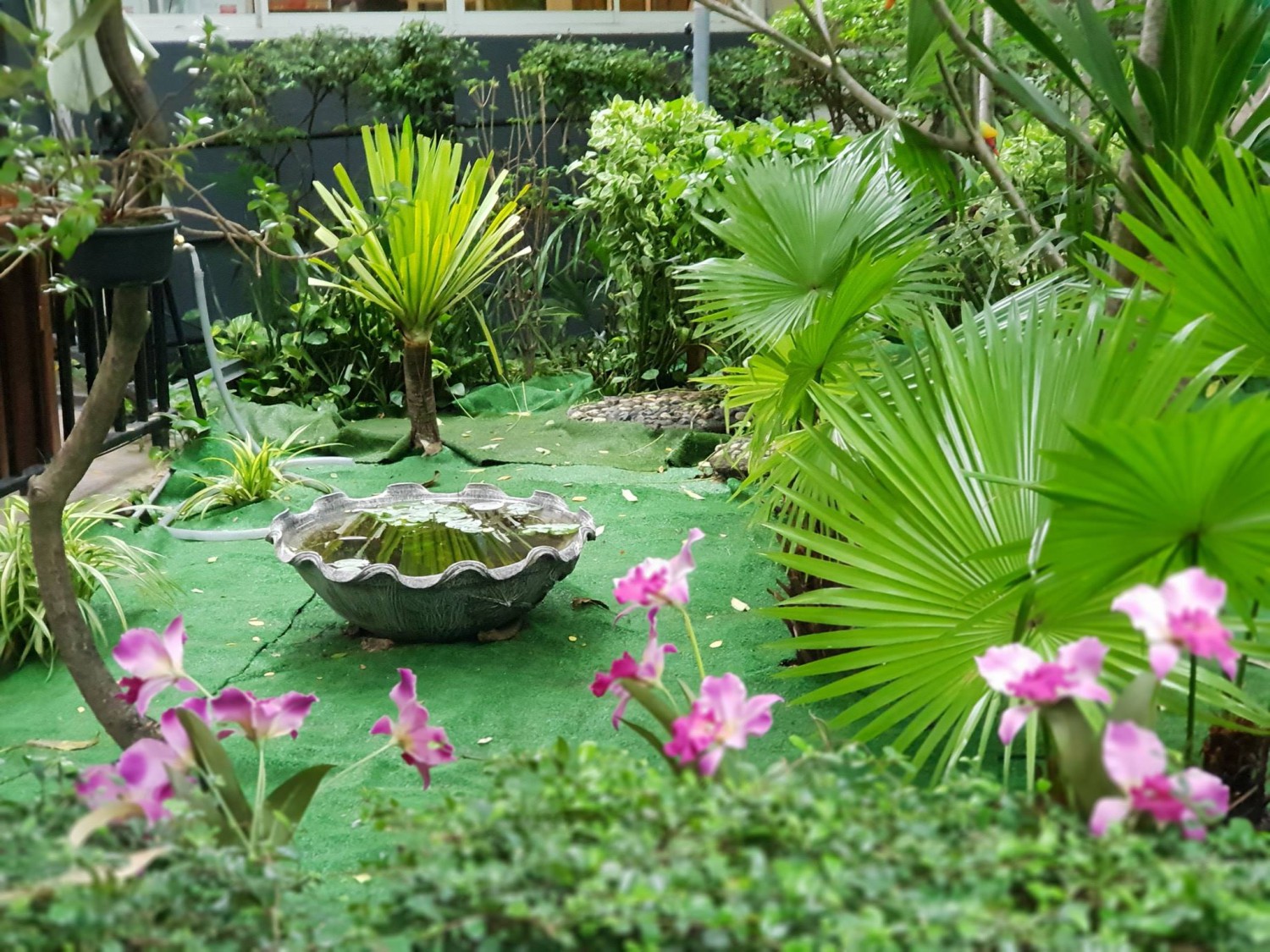 บ้านสวย ในสวน, Siam Brasserie , The Treehouse Nongchok, Natura Cafe, BaanNaiSuan Cafe&Yoga, Patom, Portobello & Désiré, ครัวบ้านสวนสุวรรณ, ร้านอาหารฐิตารีย์ สวนรถไฟ จตุจักร, บ้านสวน อบอวลรัก