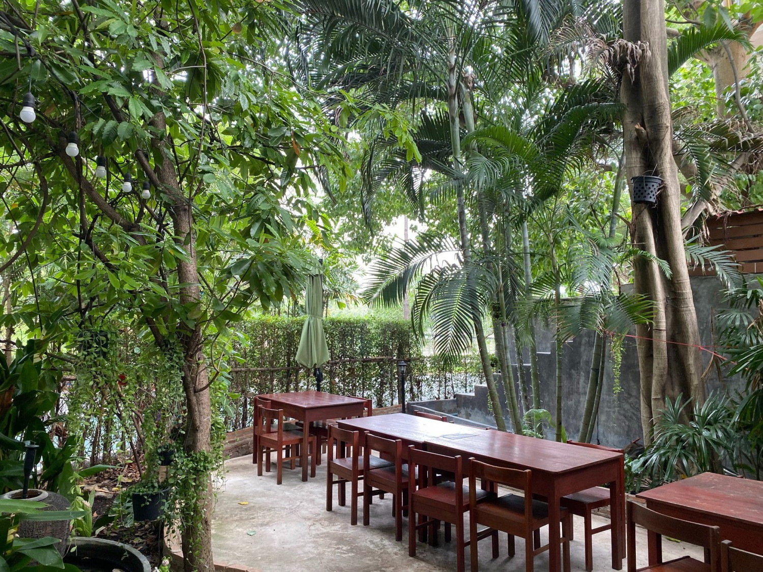 บ้านสวย ในสวน, Siam Brasserie , The Treehouse Nongchok, Natura Cafe, BaanNaiSuan Cafe&Yoga, Patom, Portobello & Désiré, ครัวบ้านสวนสุวรรณ, ร้านอาหารฐิตารีย์ สวนรถไฟ จตุจักร, บ้านสวน อบอวลรัก