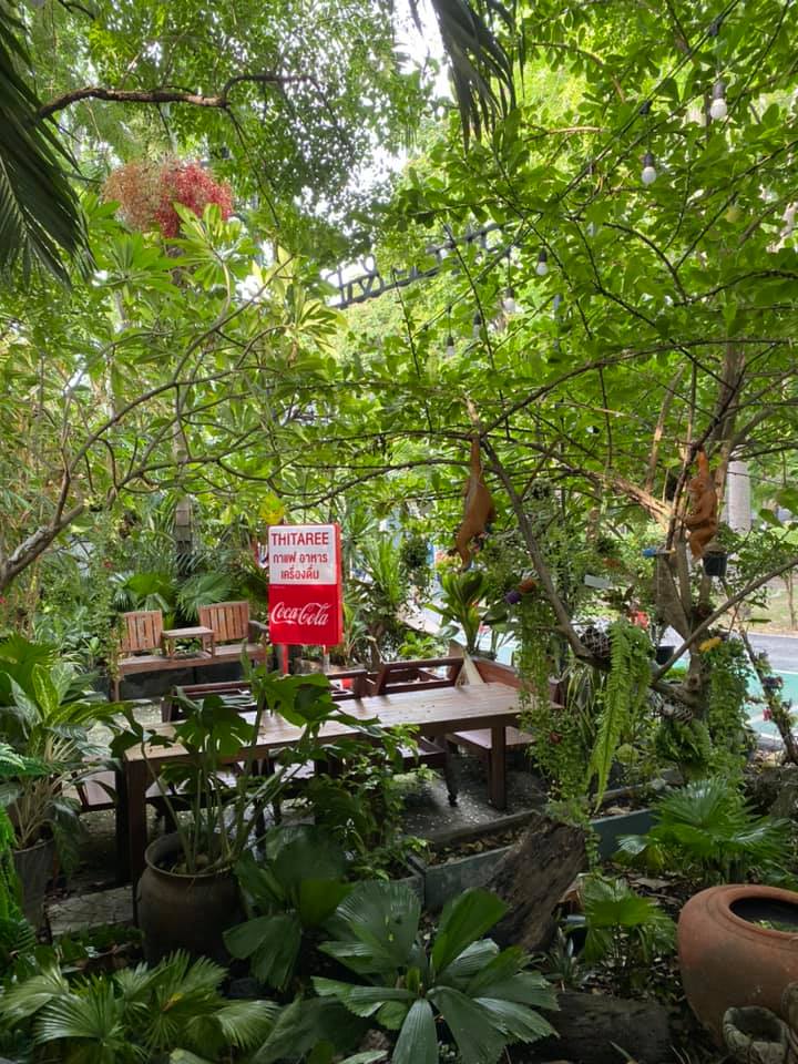 บ้านสวย ในสวน, Siam Brasserie , The Treehouse Nongchok, Natura Cafe, BaanNaiSuan Cafe&Yoga, Patom, Portobello & Désiré, ครัวบ้านสวนสุวรรณ, ร้านอาหารฐิตารีย์ สวนรถไฟ จตุจักร, บ้านสวน อบอวลรัก