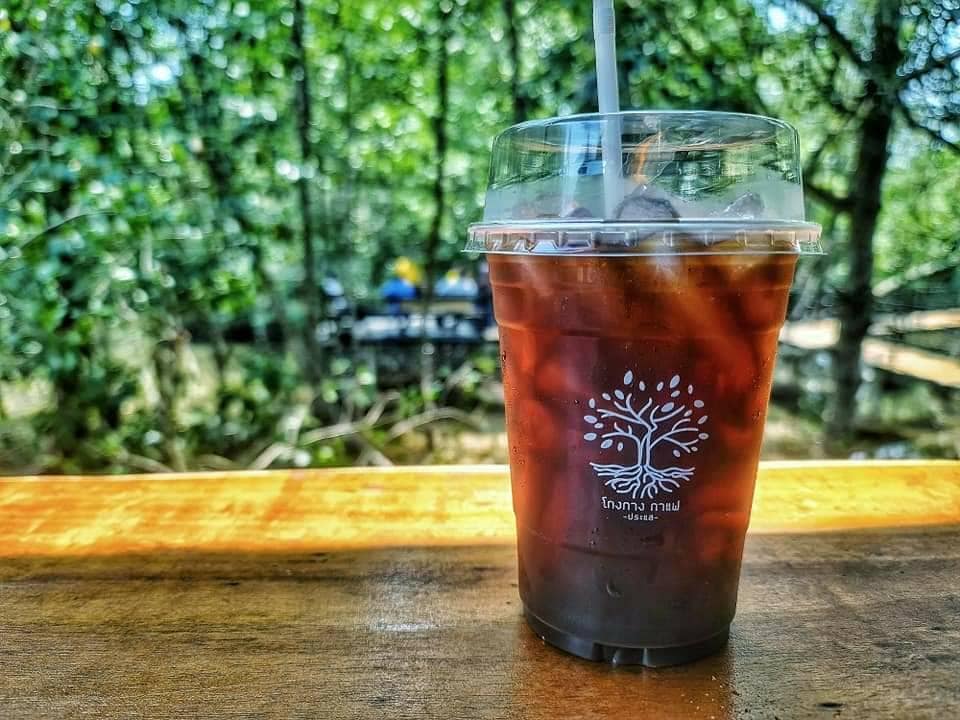 CURVE, STIRR Coffee, Haus Coffee and Space, SeaSeoul cafe, 1degreesnorth, Kongkang Kafe, กาเเฟริมน้ำ บ้านชูใจ, สวนก๋ง, กาแฟบ้านทวด, COFFEE BEACH, Jump at Sea, Whitebeam coffee & eatery