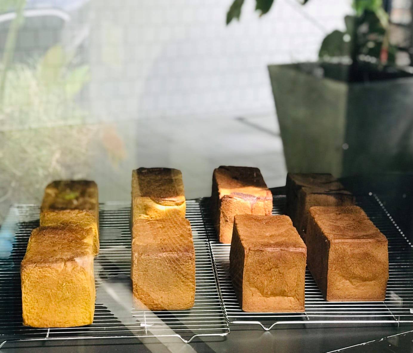 NANA Coffee Roasters, Mmc.bkk, FO SHO BRO, Dear December Cafe, The 66 Cottage, The Black Forest, Bougain Cafe & Crafts, La Mesa Coffee Co., Coffee Station, Gooseberry Coffee Bearing-Lasalle, OOOz.cafe , Shalala Cafe