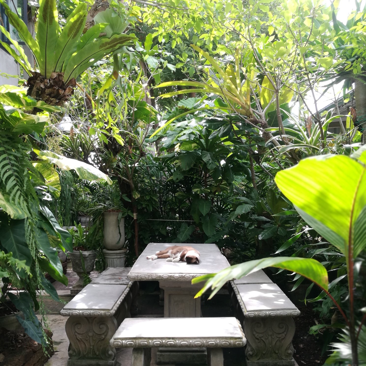Air Space Hua Hin, ปลีกวิเวก คาเฟ่, After morning cafe, The Chocolate Factory HuaHin, DRIP RIM LAY, Top Seacret Beach Cafe, Molley coffee stand, RowHou8e Cafe' HuaHin106, 25 Monday cafe', S'more Cafe Huahin, Tree House Cafe', Wilaiwan Hua Hin