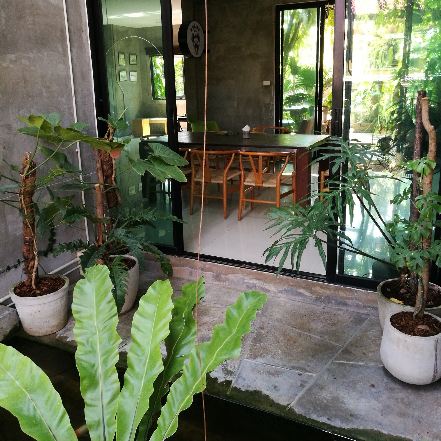 Air Space Hua Hin, ปลีกวิเวก คาเฟ่, After morning cafe, The Chocolate Factory HuaHin, DRIP RIM LAY, Top Seacret Beach Cafe, Molley coffee stand, RowHou8e Cafe' HuaHin106, 25 Monday cafe', S'more Cafe Huahin, Tree House Cafe', Wilaiwan Hua Hin