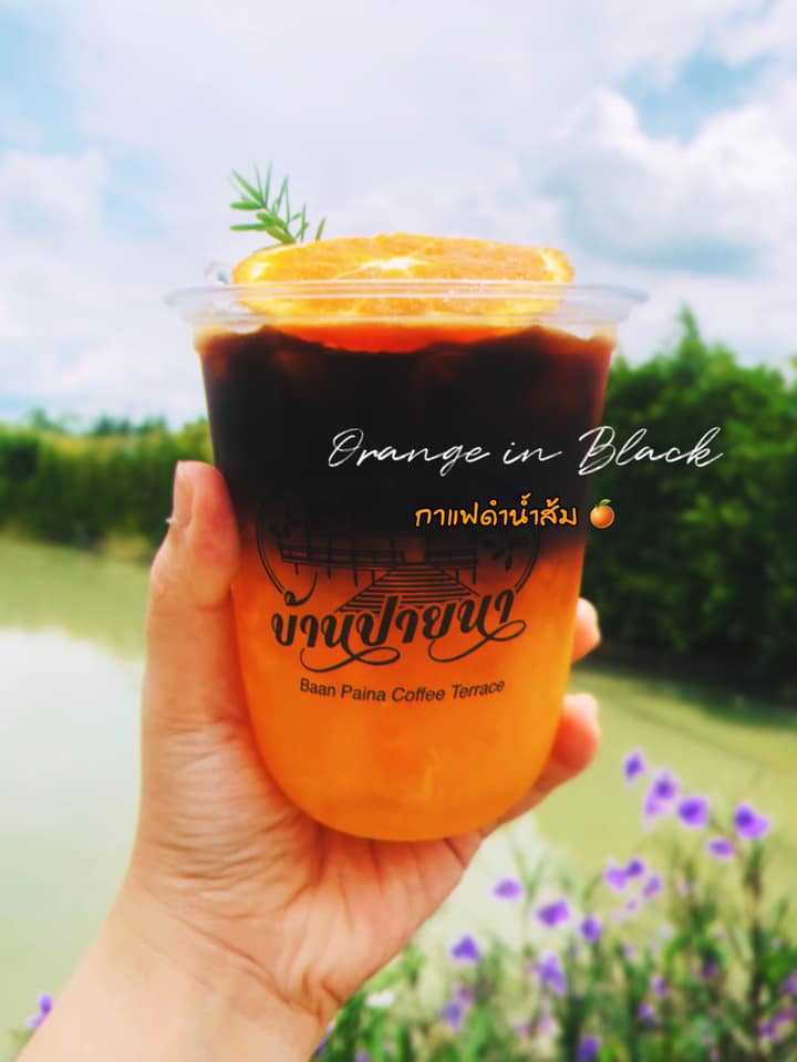 Autumn haus, YOJU Cafe, Lemon Me Farm, STARTCafé, Lot no.8 cafe, 23 cafe and bistro, STAY WITH TREE cafe, April Flavors cafe, Destiny cafe', บ้านปายนา, DUBUA CAFE, House of Chandra - เสน่ห์จันทน์ , 11 Elephant Dessert Cafe, Hangar Cafe', Merce Cafe & Restaurant, Ton Khao Terrace, O2 Kaffee & Bistro, Pomelo Cafe, Little tree, Chinu Coffee