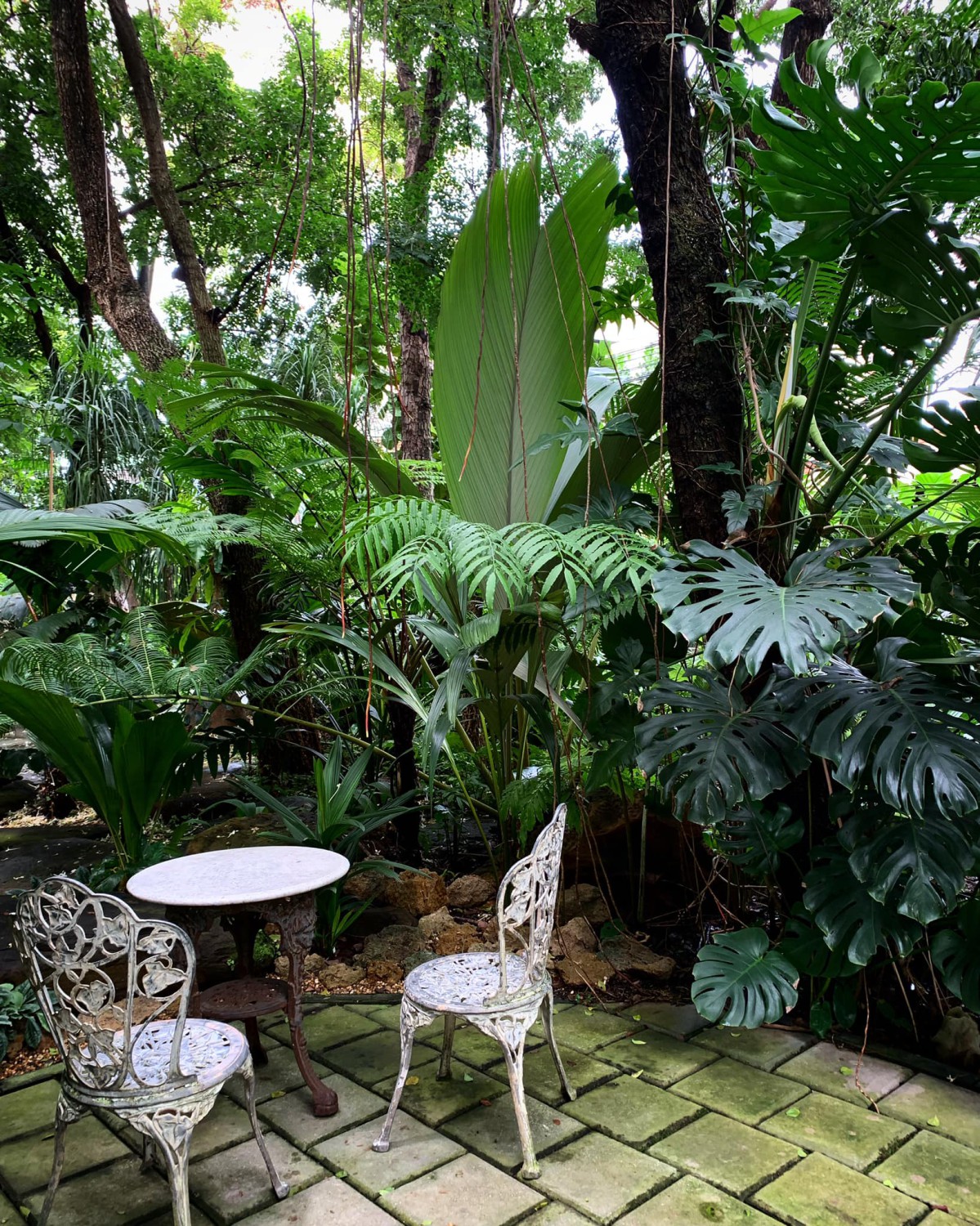 White House Forest, เกษม : KASEM Coffee, Rosie.nak, Luk Labb Coffee, Grande KAFE, KFD in Town, สวรรค์บ้านนา คาเฟ่ Food &amp; Drink, กอหญ้า คาเฟ่, ณ บุ่ง Coffee, polar polar CAFE', Yellow Pumpkin, ร้าน Yellow Pumpkin เปิดบริการตามปกติ 11.00-17.00 น. (ปิดวันพฤหัสบดี), I'm home cafe, ประจำอำเภอ, glinfon, 382 Space Café, La-Moon cafe'