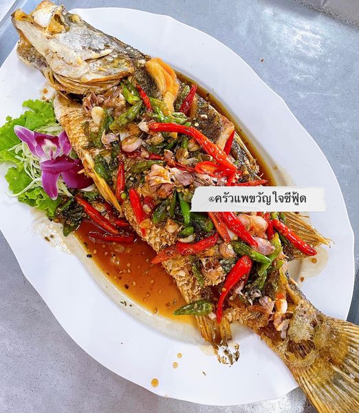 จ๊ะโอ๋ซีฟู๊ด, รุ่งฟ้า ซีฟู้ด, วิวทิวไม้ ซีฟู้ด, ครัวลุงแถม, ครัวแพขวัญใจซีฟู้ด บางขุนเทียน, ครัวน้าเนียมซีฟู้ด, ครัวนพเก้าซีฟู้ด, ครัวทับทิม ซีฟู้ด, ครัวพ่อกำนันซีฟู๊ด บางขุนเทียน-ชายทะเล, บ้านปองพลซีฟู้ด, ครัววลัยพร, ธารทะเลซีฟู้ด บางขุนเทียน-ชายทะเล, ฟาร์มสมใจซีฟู้ดส์ บางขุนเทียนชายทะเล, ครัวคุณอรซีฟู๊ดบางขุนเทียน