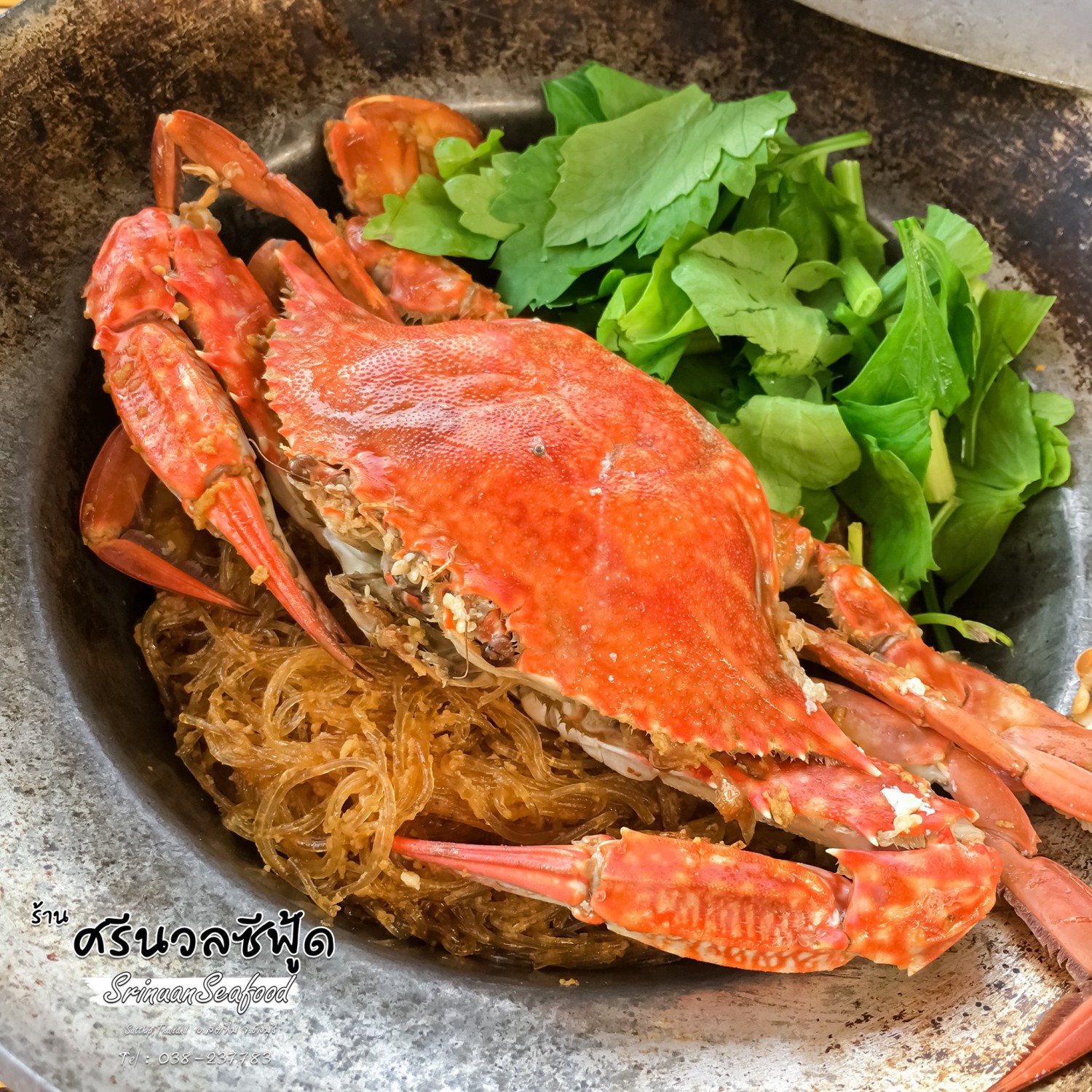 ปูเป็น SEAFOOD PATTAYA, ริมหาด ซีฟู๊ด, ลุงบอยป้ารัตน์, สาขาหาดจอมเทียน, Krua Dongtan ครัวดงตาล, ลุงไสว 1 สุดหาดจอมเทียน พัทยา, ศรีนวลซีฟู้ด, Anantaya Resort &amp; Seafood Pattaya, สุดเขต ทะเลเผา