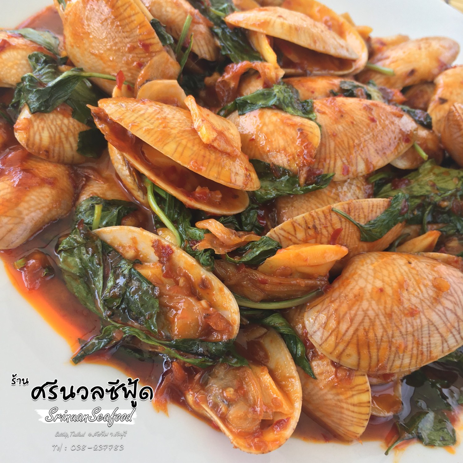 ปูเป็น SEAFOOD PATTAYA, ริมหาด ซีฟู๊ด, ลุงบอยป้ารัตน์, สาขาหาดจอมเทียน, Krua Dongtan ครัวดงตาล, ลุงไสว 1 สุดหาดจอมเทียน พัทยา, ศรีนวลซีฟู้ด, Anantaya Resort &amp; Seafood Pattaya, สุดเขต ทะเลเผา
