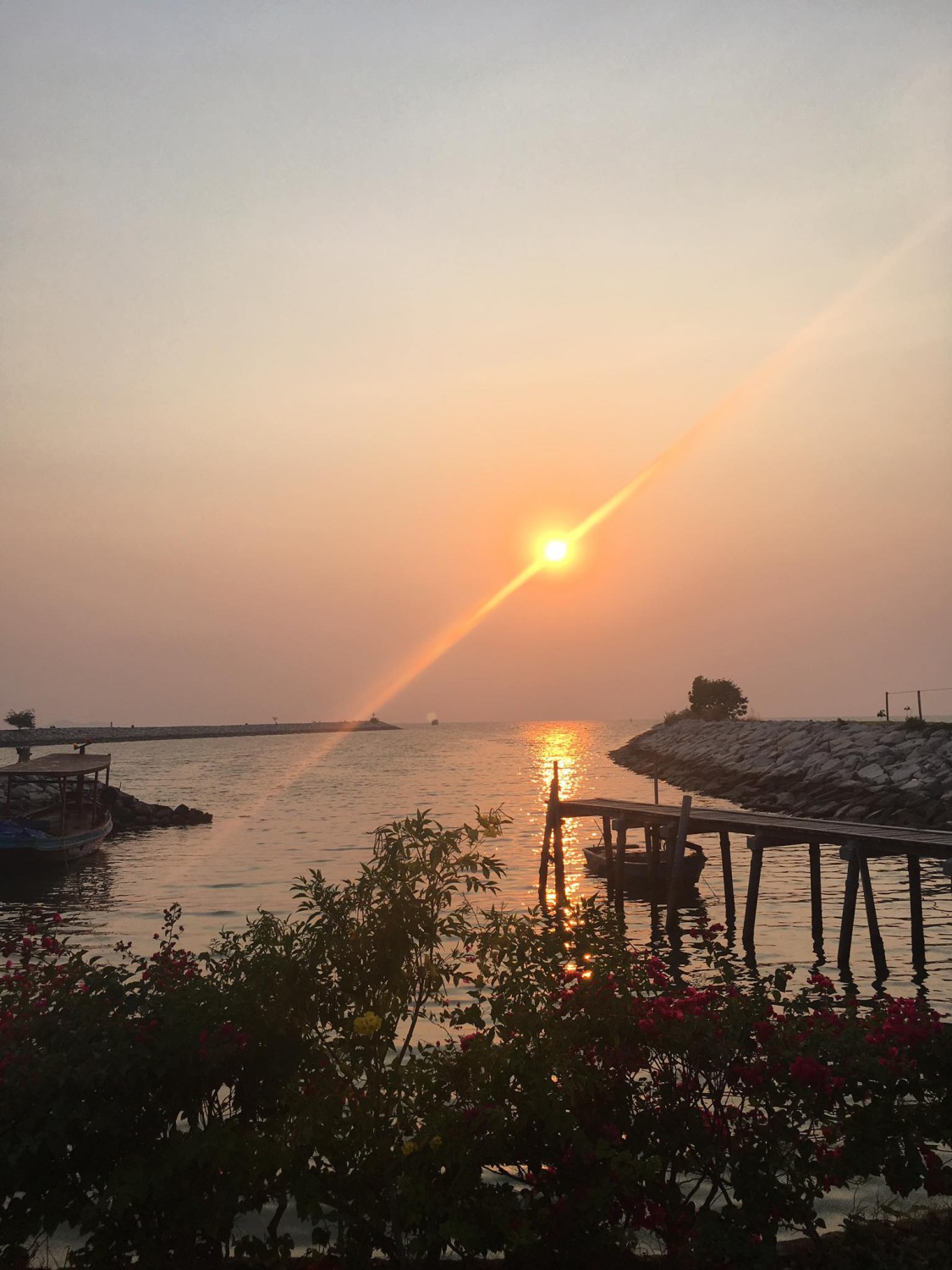 ปูเป็น SEAFOOD PATTAYA, ริมหาด ซีฟู๊ด, ลุงบอยป้ารัตน์, สาขาหาดจอมเทียน, Krua Dongtan ครัวดงตาล, ลุงไสว 1 สุดหาดจอมเทียน พัทยา, ศรีนวลซีฟู้ด, Anantaya Resort &amp; Seafood Pattaya, สุดเขต ทะเลเผา