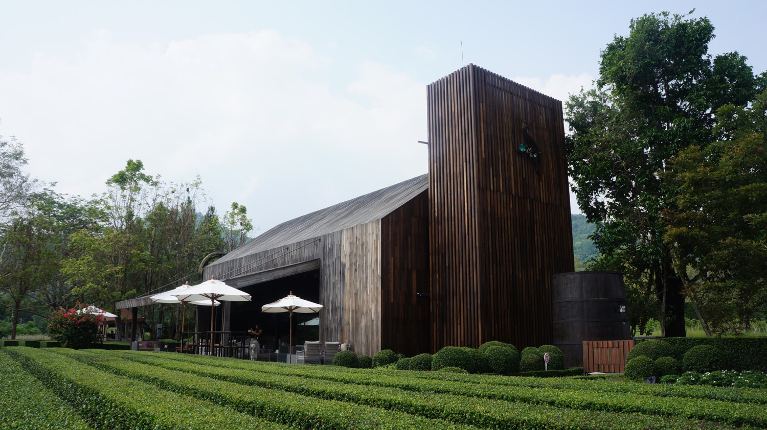 Bok Bok Society, 88Coffee in khaoyai, The Creek @Khao Yai, TARA CAFE' Khaoyai, Pirom Cafe
