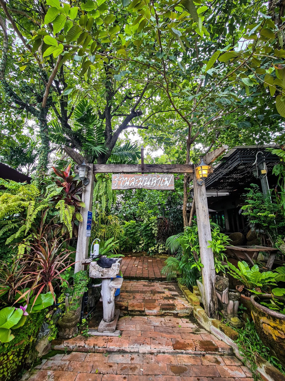 White House Forest, เกษม : KASEM Coffee, Rosie.nak, Luk Labb Coffee, Grande KAFE, KFD in Town, สวรรค์บ้านนา คาเฟ่ Food &amp; Drink, กอหญ้า คาเฟ่, ณ บุ่ง Coffee, polar polar CAFE', Yellow Pumpkin, ร้าน Yellow Pumpkin เปิดบริการตามปกติ 11.00-17.00 น. (ปิดวันพฤหัสบดี), I'm home cafe, ประจำอำเภอ, glinfon, 382 Space Café, La-Moon cafe'