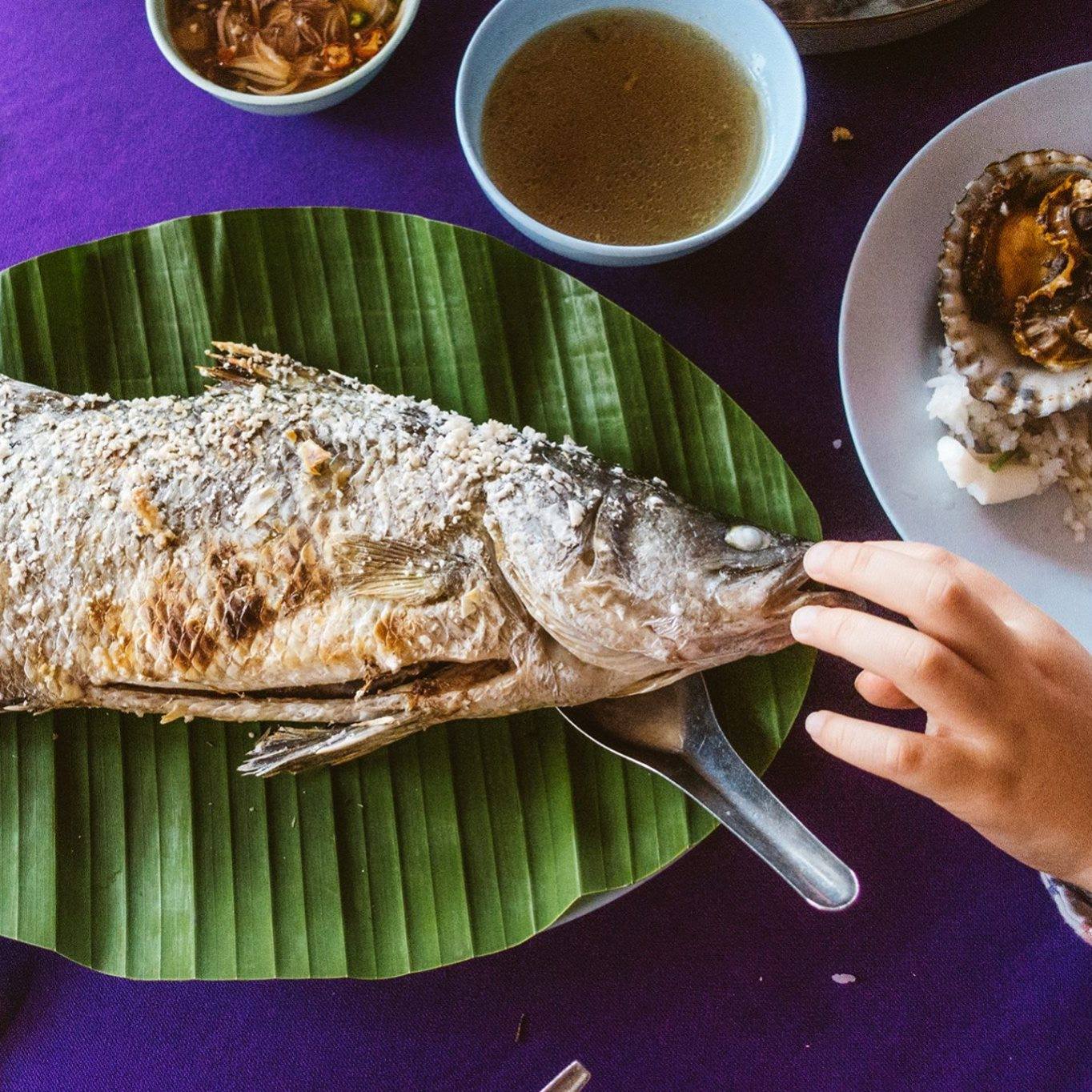 ท้ายเหมือง ร้านอาหารพื้นเมืองภูเก็ต, ชมจันทร์ Chomchan by Onechun, พิเศษ, หมอมูดง ภูเก็ต, ร้านเป็ดย่างเมโทรภูเก็ต - Since 1971, ตู้กับข้าว, โรตีน้ำแกงแถวน้ำ "ภูเก็ตมุสลิม"