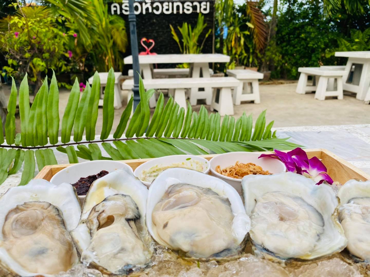 ครัวลุงมันซีฟู้ด, ตั้งฉ่ายซีฟู้ด, บ้านไร่น้ำอิง, พรทะเลซีฟู้ด, ศิริกัญญาซีฟู๊ด, ผึ้งทะเลเผา เบอร์ 9, ครัวป้ายืนซีฟู้ด, นู๋ยาซีฟู้ดชะอำ, ครัวเม็ดทราย, บ้านครัวทะเล, ครัวห้วยทราย, Platoo Restaurant, ครัวป้าเฉลียว, ร้านครัวพี่เปี๊ยก บางควาย