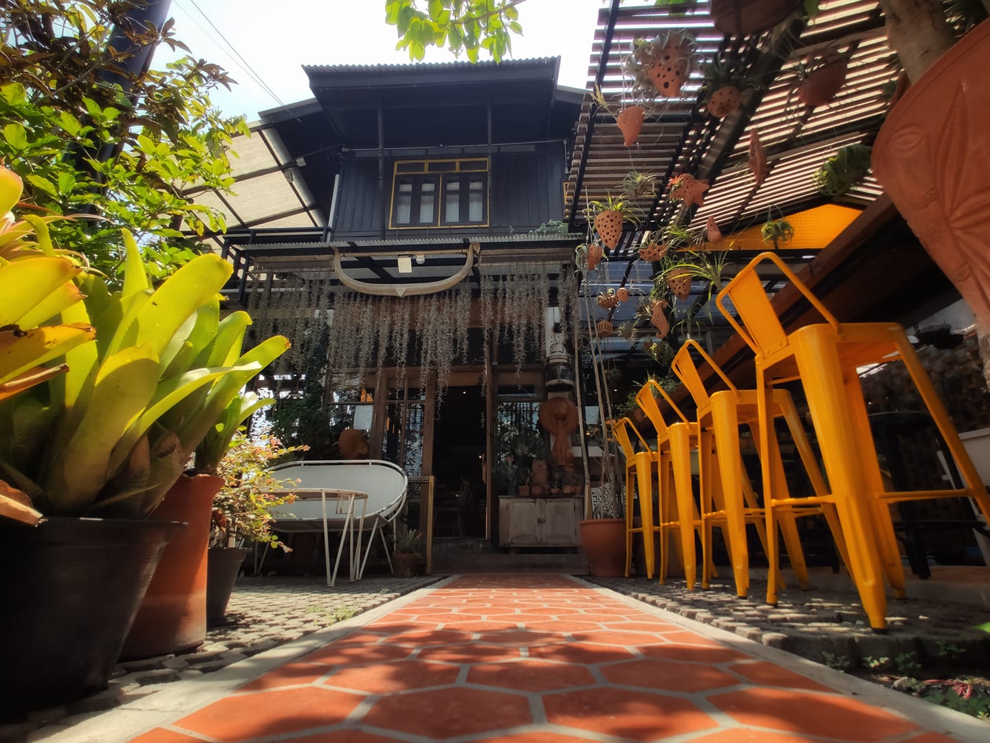 Unplan, ma na cafe', ปลาชุม : Plachum Café & Bistro, Nava House Café - นาวา เฮ้าส์ คาเฟ่, Coffee 123, FarmVille Chachoengsao, บ้านพระจันทร์เวียน, กรีนวิลล์ ผักสลัดเสิร์ฟจากฟาร์ม , D•presso cafe, Baan Melon Desert, Red Cat Cafe ตลาดบ้านใหม่, Lifehouse Cafe & Kitchen, T13 Café