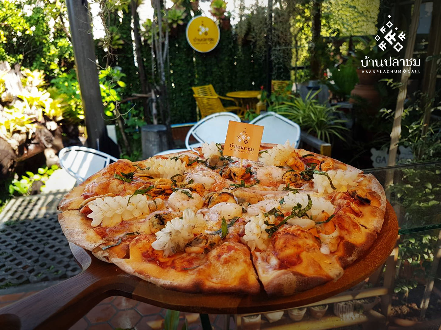 Unplan, ma na cafe', ปลาชุม : Plachum Café & Bistro, Nava House Café - นาวา เฮ้าส์ คาเฟ่, Coffee 123, FarmVille Chachoengsao, บ้านพระจันทร์เวียน, กรีนวิลล์ ผักสลัดเสิร์ฟจากฟาร์ม , D•presso cafe, Baan Melon Desert, Red Cat Cafe ตลาดบ้านใหม่, Lifehouse Cafe & Kitchen, T13 Café