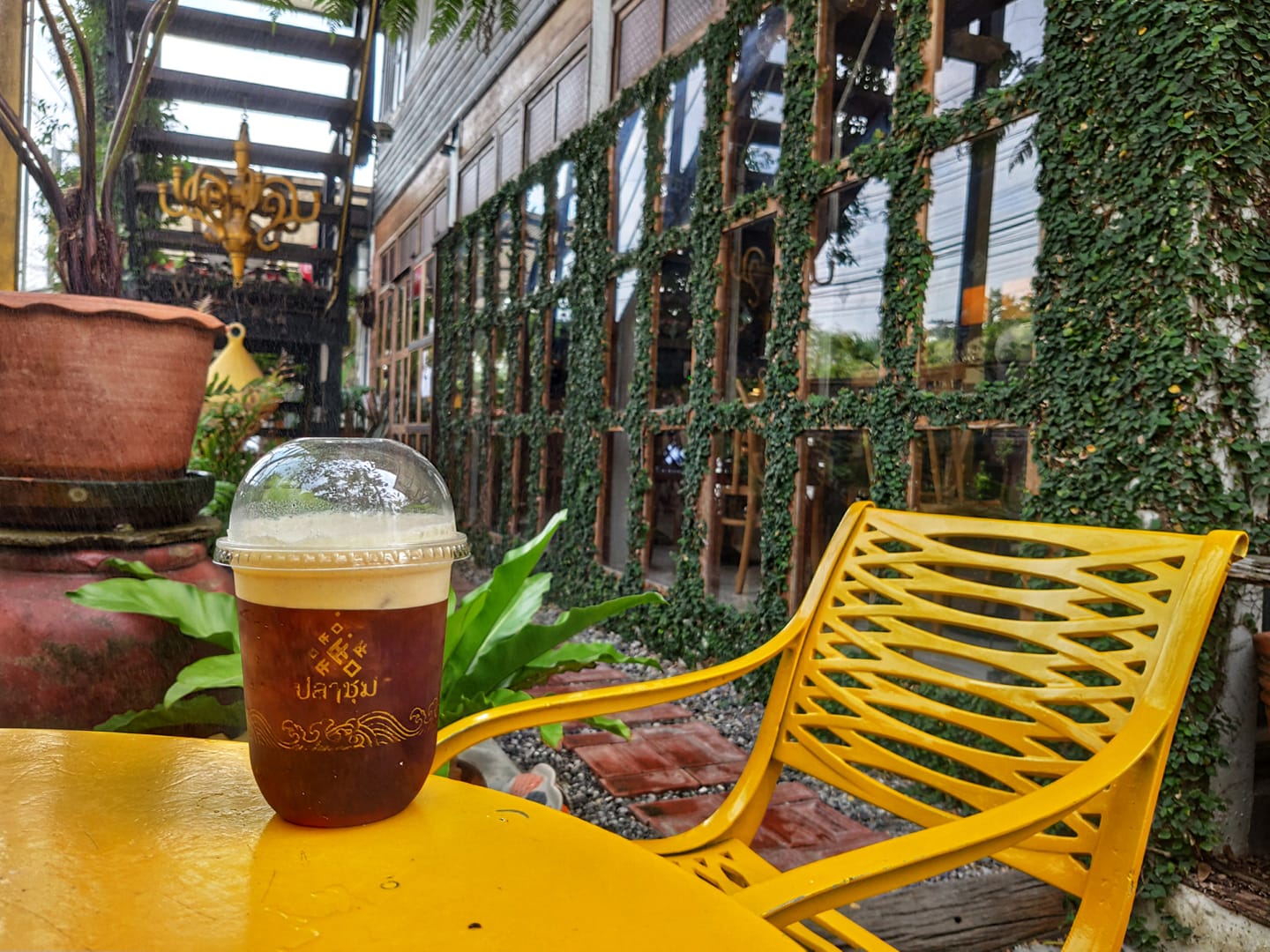 Unplan, ma na cafe', ปลาชุม : Plachum Café & Bistro, Nava House Café - นาวา เฮ้าส์ คาเฟ่, Coffee 123, FarmVille Chachoengsao, บ้านพระจันทร์เวียน, กรีนวิลล์ ผักสลัดเสิร์ฟจากฟาร์ม , D•presso cafe, Baan Melon Desert, Red Cat Cafe ตลาดบ้านใหม่, Lifehouse Cafe & Kitchen, T13 Café