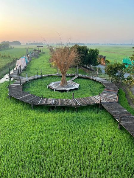 Unplan, ma na cafe', ปลาชุม : Plachum Café & Bistro, Nava House Café - นาวา เฮ้าส์ คาเฟ่, Coffee 123, FarmVille Chachoengsao, บ้านพระจันทร์เวียน, กรีนวิลล์ ผักสลัดเสิร์ฟจากฟาร์ม , D•presso cafe, Baan Melon Desert, Red Cat Cafe ตลาดบ้านใหม่, Lifehouse Cafe & Kitchen, T13 Café