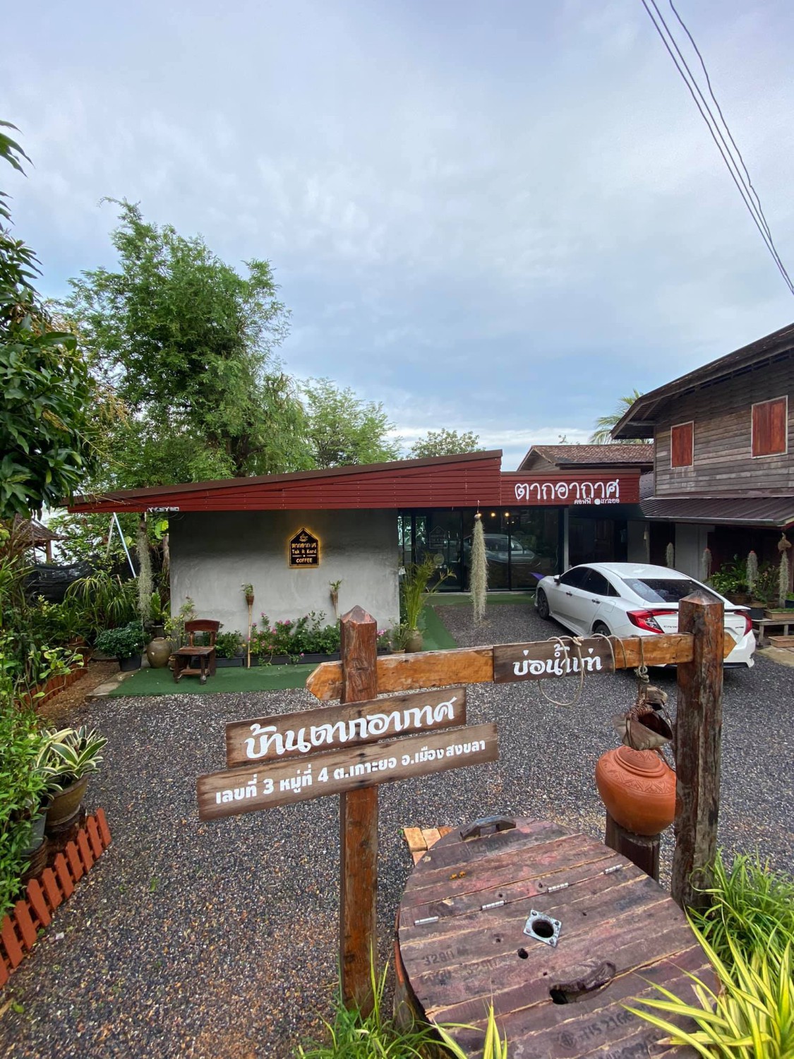 TreeHouse Cafe, Sunshine Blend Home Cafe, Sandtoni, The Stand Brew•Bake , Virung Coffee &amp; Bar, ตากอากาศ, โกงกางคาเฟ่, Studio 55 Cafe