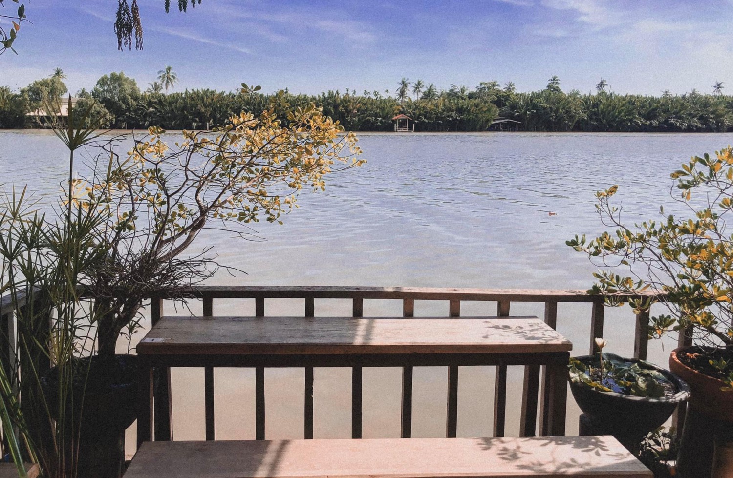 Unplan, ma na cafe', ปลาชุม : Plachum Café & Bistro, Nava House Café - นาวา เฮ้าส์ คาเฟ่, Coffee 123, FarmVille Chachoengsao, บ้านพระจันทร์เวียน, กรีนวิลล์ ผักสลัดเสิร์ฟจากฟาร์ม , D•presso cafe, Baan Melon Desert, Red Cat Cafe ตลาดบ้านใหม่, Lifehouse Cafe & Kitchen, T13 Café