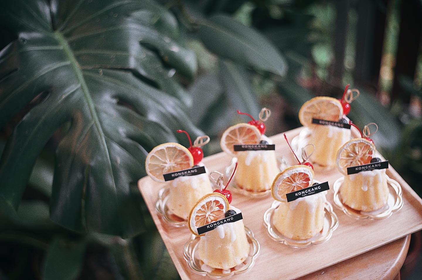 TreeHouse Cafe, Sunshine Blend Home Cafe, Sandtoni, The Stand Brew•Bake , Virung Coffee &amp; Bar, ตากอากาศ, โกงกางคาเฟ่, Studio 55 Cafe