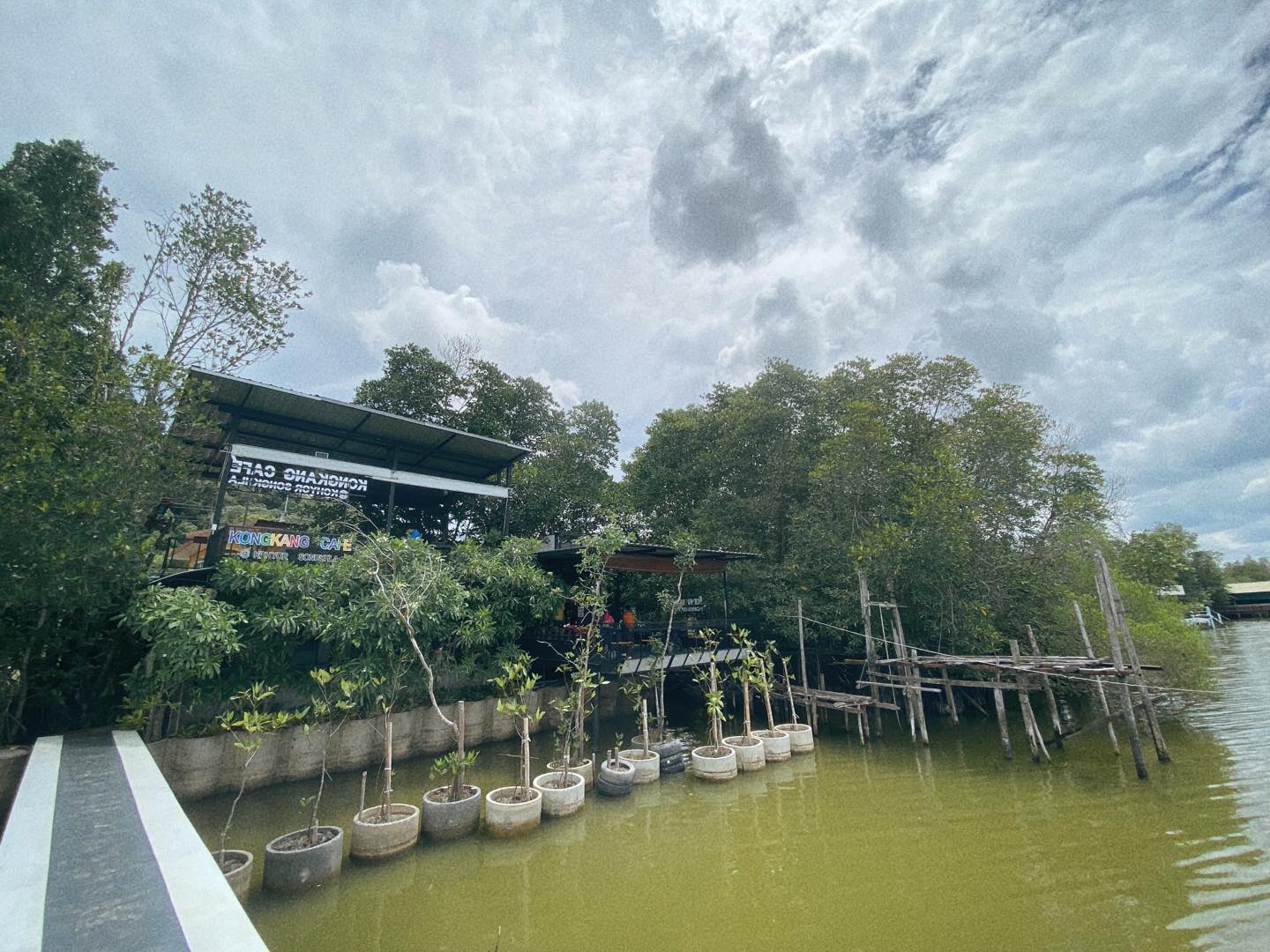TreeHouse Cafe, Sunshine Blend Home Cafe, Sandtoni, The Stand Brew•Bake , Virung Coffee &amp; Bar, ตากอากาศ, โกงกางคาเฟ่, Studio 55 Cafe