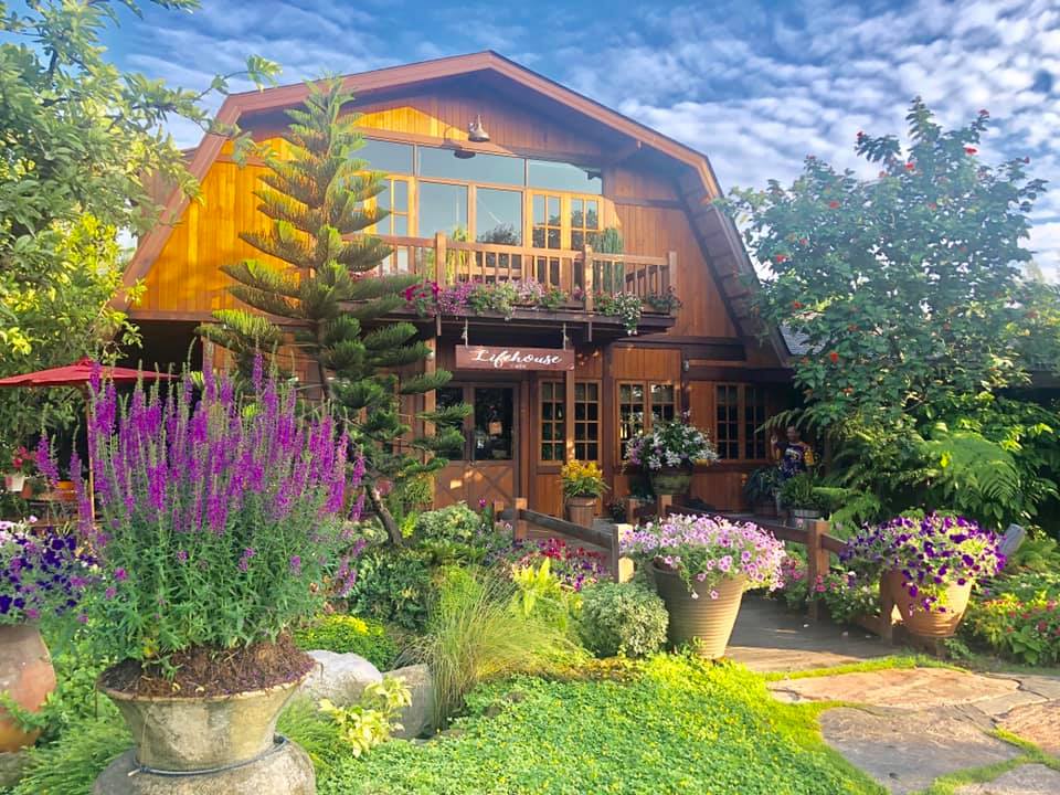 Unplan, ma na cafe', ปลาชุม : Plachum Café & Bistro, Nava House Café - นาวา เฮ้าส์ คาเฟ่, Coffee 123, FarmVille Chachoengsao, บ้านพระจันทร์เวียน, กรีนวิลล์ ผักสลัดเสิร์ฟจากฟาร์ม , D•presso cafe, Baan Melon Desert, Red Cat Cafe ตลาดบ้านใหม่, Lifehouse Cafe & Kitchen, T13 Café