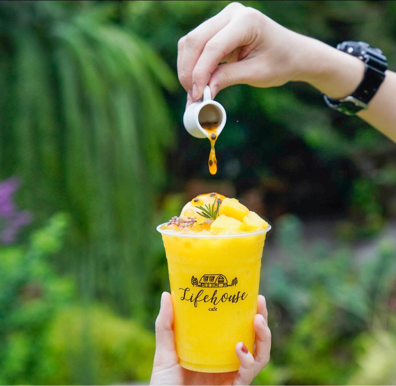 Unplan, ma na cafe', ปลาชุม : Plachum Café & Bistro, Nava House Café - นาวา เฮ้าส์ คาเฟ่, Coffee 123, FarmVille Chachoengsao, บ้านพระจันทร์เวียน, กรีนวิลล์ ผักสลัดเสิร์ฟจากฟาร์ม , D•presso cafe, Baan Melon Desert, Red Cat Cafe ตลาดบ้านใหม่, Lifehouse Cafe & Kitchen, T13 Café