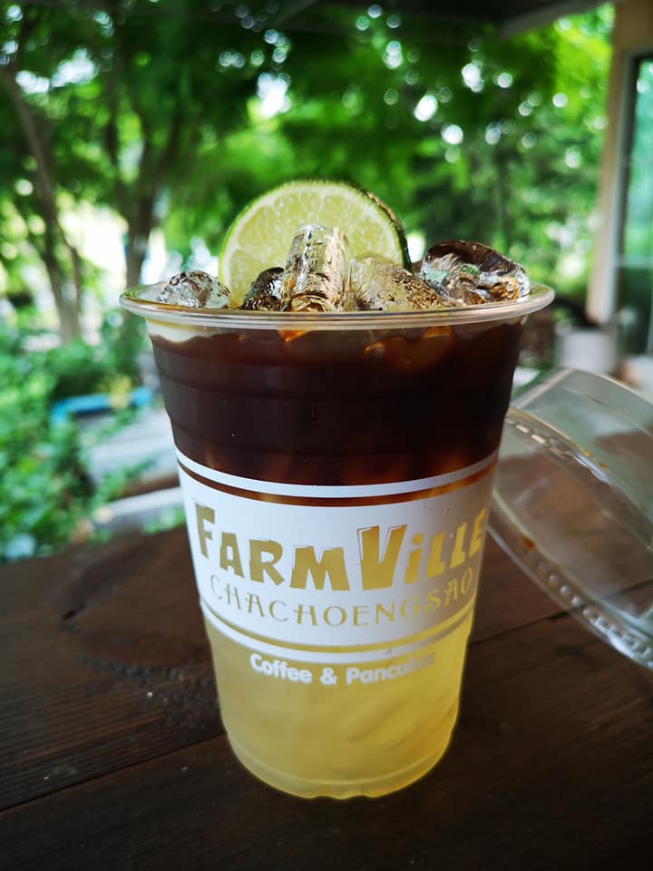 Unplan, ma na cafe', ปลาชุม : Plachum Café & Bistro, Nava House Café - นาวา เฮ้าส์ คาเฟ่, Coffee 123, FarmVille Chachoengsao, บ้านพระจันทร์เวียน, กรีนวิลล์ ผักสลัดเสิร์ฟจากฟาร์ม , D•presso cafe, Baan Melon Desert, Red Cat Cafe ตลาดบ้านใหม่, Lifehouse Cafe & Kitchen, T13 Café