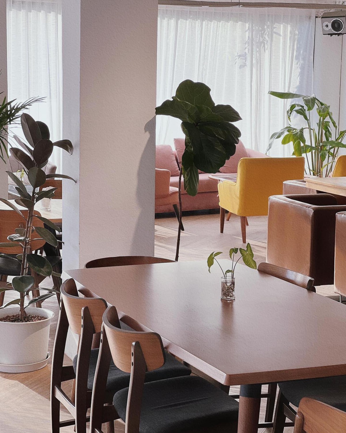Curious Cafe, Good Thingz Happen, Maven Mesh, Orso Polare, The Work Loft, Hwantsu Creative Cafe, คุ้น•เคย Eatery, Cafe &amp; Bar, The Open Door Green, Blanc Eatery &amp; Cafe, Keiken Coffee สาขาราชพฤกษ์