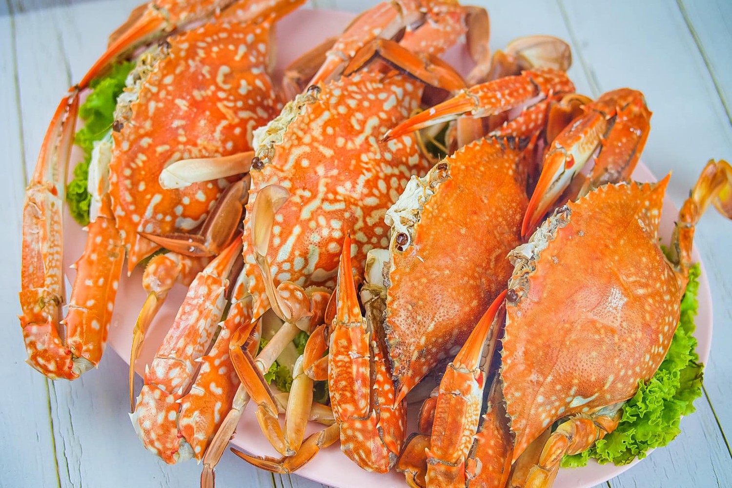 ผัดไท ท่ายาง, เจียมเลี้ยงเซี้ย, เจ๊กเม้ง ก๋วยเตี๋ยวเนื้อต้นตำรับเพชรบุรี, โอวทึ้ง นายกี๋, ครัวป้าเฉลียว, ครัวไข่มุก สะพานปลา ชะอำ, ขนมจีน ทอดมัน ท่งเชียง, พวงเพชร, ทรายทอดมัน บขส.เก่า, ข้าวแช่ป้าเอื้อน หน้ากาชาด เพชรบุรี, เจ๊แดงบางควาย, ร้านอาหารบ้านป้าองุ่น "ร้านเก่า 50 ปี", บ้านยายกับตา, ก๋วยเตี๋ยวเนื้อ &amp; ไก่ “แดงโรงฝ้าย”ตรงข้ามปั้มมานิต 