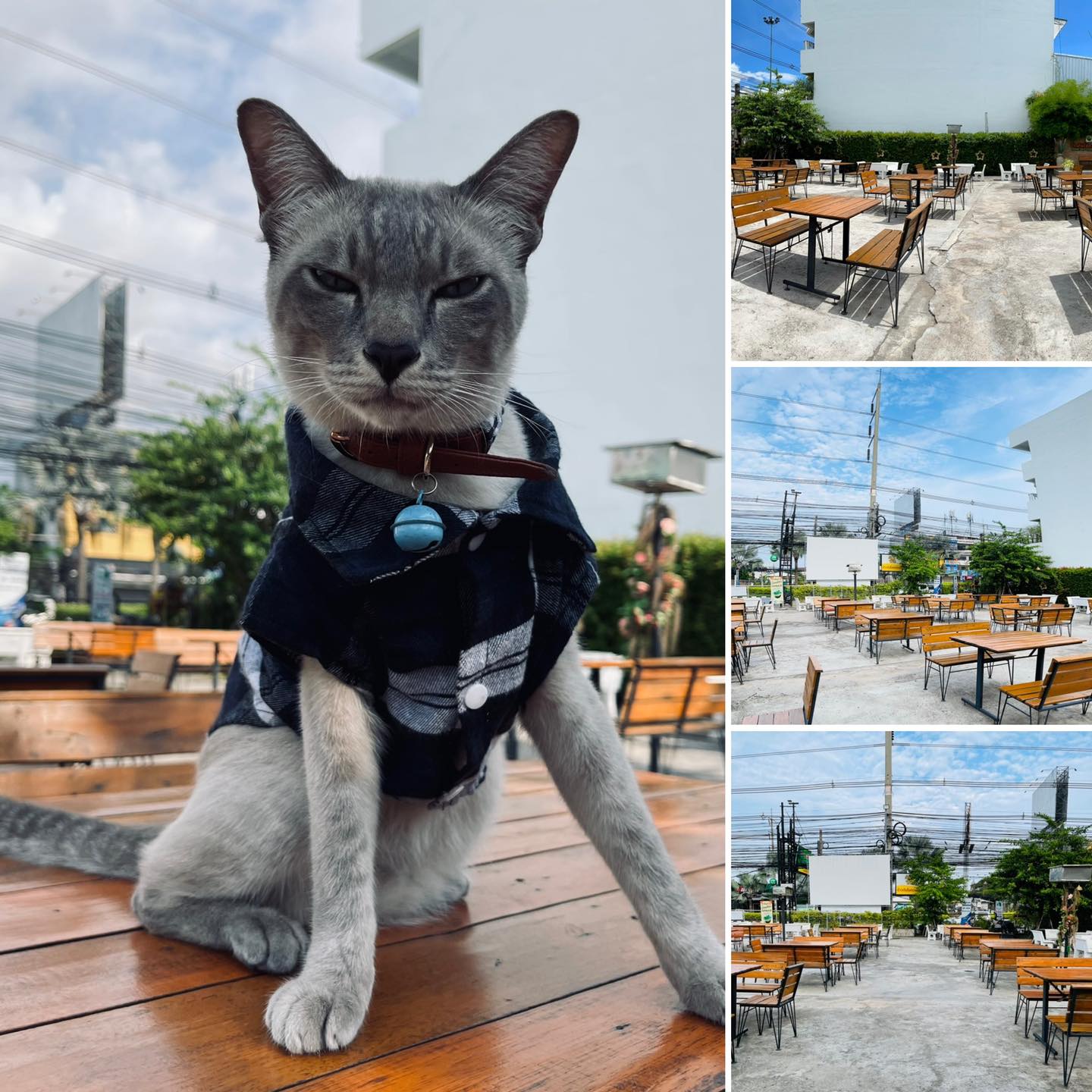 ข้าวต้มปลา 164, สาขาพัทยา, ข้าวต้มกุ๊ย ปาหนัน สูตรต้นตำรับ สาขาพัทยา , ข้าวต้มปลาเจ้าเก่า ลานโพธิ์เดิม, เจ๊นงค์ ข้าวต้มบาทเดียว พัทยา, ข้าวต้มป้าเล็กโต้รุ่ง, ราชาข้าวต้มผักบุ้งลอยฟ้า พัทยากลาง, ป.อยู่เย็นรสเด่น พัทยา, ข้าวต้มปลาปัญญาชน, สาขาพัทยากลางสาย 3, ราชาข้าวต้มผักบุ้งลอยฟ้า, สาขาพัทยาสาย 3, ข้าวต้มหนุ่ม พัทยา, ตี๋เล็ก ข้าวต้มปลา, ข้าวต้มปลาแป๊ะจั๊ว, ร้านข้าวต้มประจันบาน, ข้าวต้มโชคอนันต์