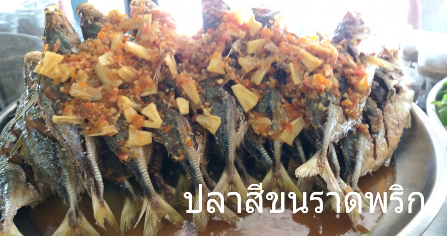 ข้าวต้มปลา 164, สาขาพัทยา, ข้าวต้มกุ๊ย ปาหนัน สูตรต้นตำรับ สาขาพัทยา , ข้าวต้มปลาเจ้าเก่า ลานโพธิ์เดิม, เจ๊นงค์ ข้าวต้มบาทเดียว พัทยา, ข้าวต้มป้าเล็กโต้รุ่ง, ราชาข้าวต้มผักบุ้งลอยฟ้า พัทยากลาง, ป.อยู่เย็นรสเด่น พัทยา, ข้าวต้มปลาปัญญาชน, สาขาพัทยากลางสาย 3, ราชาข้าวต้มผักบุ้งลอยฟ้า, สาขาพัทยาสาย 3, ข้าวต้มหนุ่ม พัทยา, ตี๋เล็ก ข้าวต้มปลา, ข้าวต้มปลาแป๊ะจั๊ว, ร้านข้าวต้มประจันบาน, ข้าวต้มโชคอนันต์