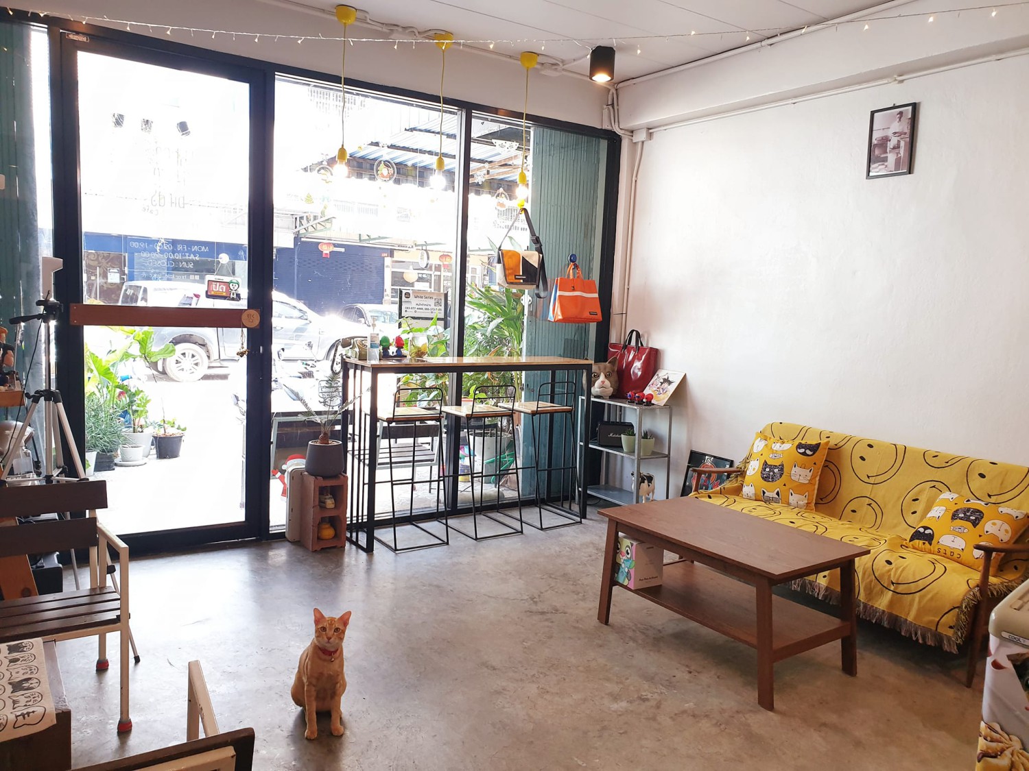 Flinders Street Cafe, Simplycafebkk, Neighbor cats koff bar, Bunnierista, Blend cafe, Hatchery, SEVENDAYS cafe &amp; bakehouse, Smith &amp; Rabbit Cuisine