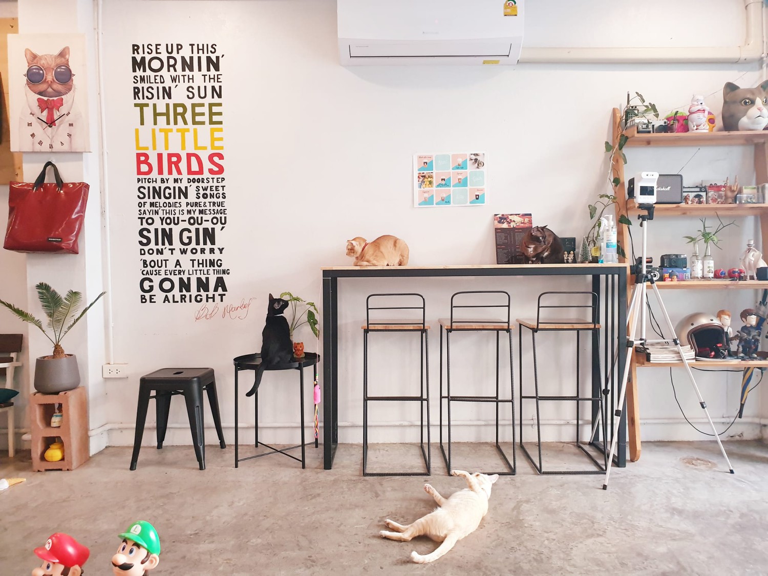 Flinders Street Cafe, Simplycafebkk, Neighbor cats koff bar, Bunnierista, Blend cafe, Hatchery, SEVENDAYS cafe &amp; bakehouse, Smith &amp; Rabbit Cuisine