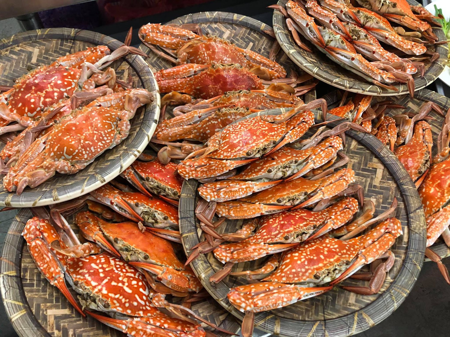 ปูเป็น SEAFOOD PATTAYA, ริมหาด ซีฟู๊ด, ลุงบอยป้ารัตน์, สาขาหาดจอมเทียน, Krua Dongtan ครัวดงตาล, ลุงไสว 1 สุดหาดจอมเทียน พัทยา, ศรีนวลซีฟู้ด, Anantaya Resort &amp; Seafood Pattaya, สุดเขต ทะเลเผา