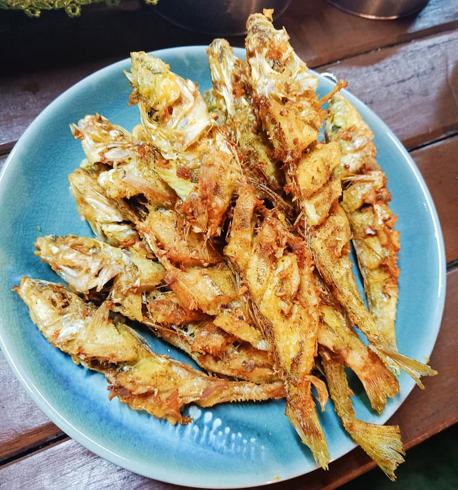 บ้านสวนลุงไข่, พี่เชษฐ์, Sawasdee-CuP Samui, ร้านอาหารข้าวหอม เกาะสมุย, ครัวชาวบ้าน, ท่าเรือสมุยซีฟู้ด, เสบียงเล, Mira Serene, โกเซ้ง เกาะสมุย, ครัวเสวยสมุย, The Roof Samui, มิสสมุย, Jam restaurant