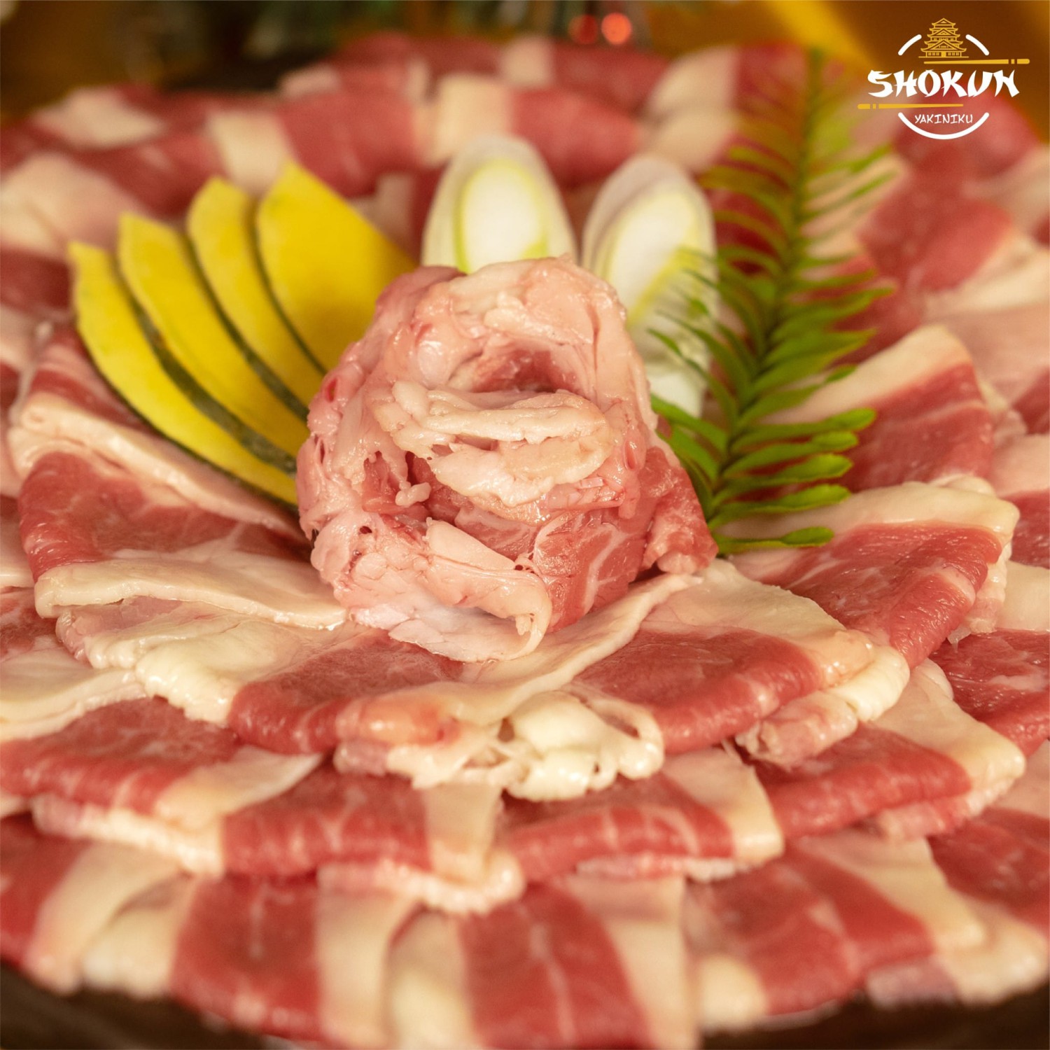 Shokunyakiniku, Mr.Gung Korean BBQ, Shabu Lion, Panda Shabu, SHABU KONG Thalang, อิ่มเอมหมูกะทะ, เฮงเฮงหมูกระทะบุฟเฟ่ต์ภูเก็ต, ฉลองบุฟเฟ่ต์ Chalong Buffet, กินรึยัง ชาบูบุฟเฟต์ ภูเก็ต 