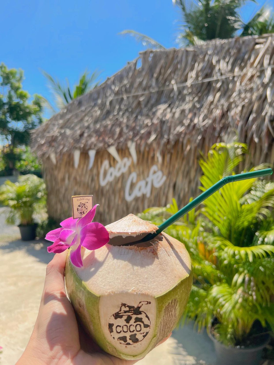 เรือนชายน้ำ Cafe&amp;Restaurant, ban.jingjo, See Sea Sun - แบบง่ายๆ, ขวัญข้าว ริเวอร์ไซด์, The sunflower cafe, KokoroCafe', FREJA Coffee &amp; Co, Rays River Cafe, Behind The Beans, พร้าวหอมคาเฟ่, Kinlamoon, House Cafe', บ้านสวนพาฝัน, La Bella Cafe, PakPap Cafe, ขมุน คาเฟ่ มหาชัย, Baanthaicafe, ดีกัน คาเฟ่, COCO CAFE'