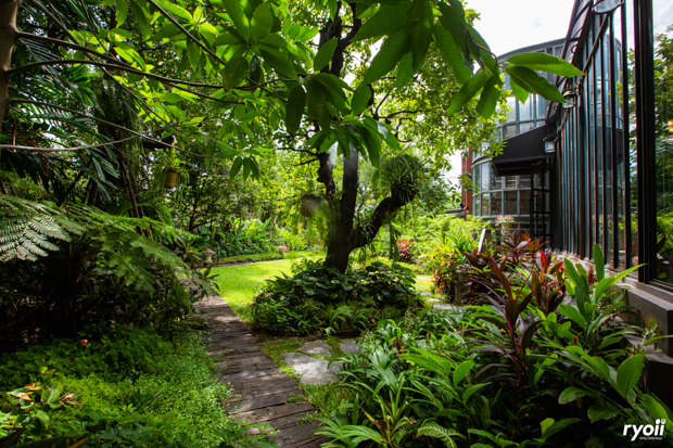 บ้านสวย ในสวน, Siam Brasserie , The Treehouse Nongchok, Natura Cafe, BaanNaiSuan Cafe&Yoga, Patom, Portobello & Désiré, ครัวบ้านสวนสุวรรณ, ร้านอาหารฐิตารีย์ สวนรถไฟ จตุจักร, บ้านสวน อบอวลรัก