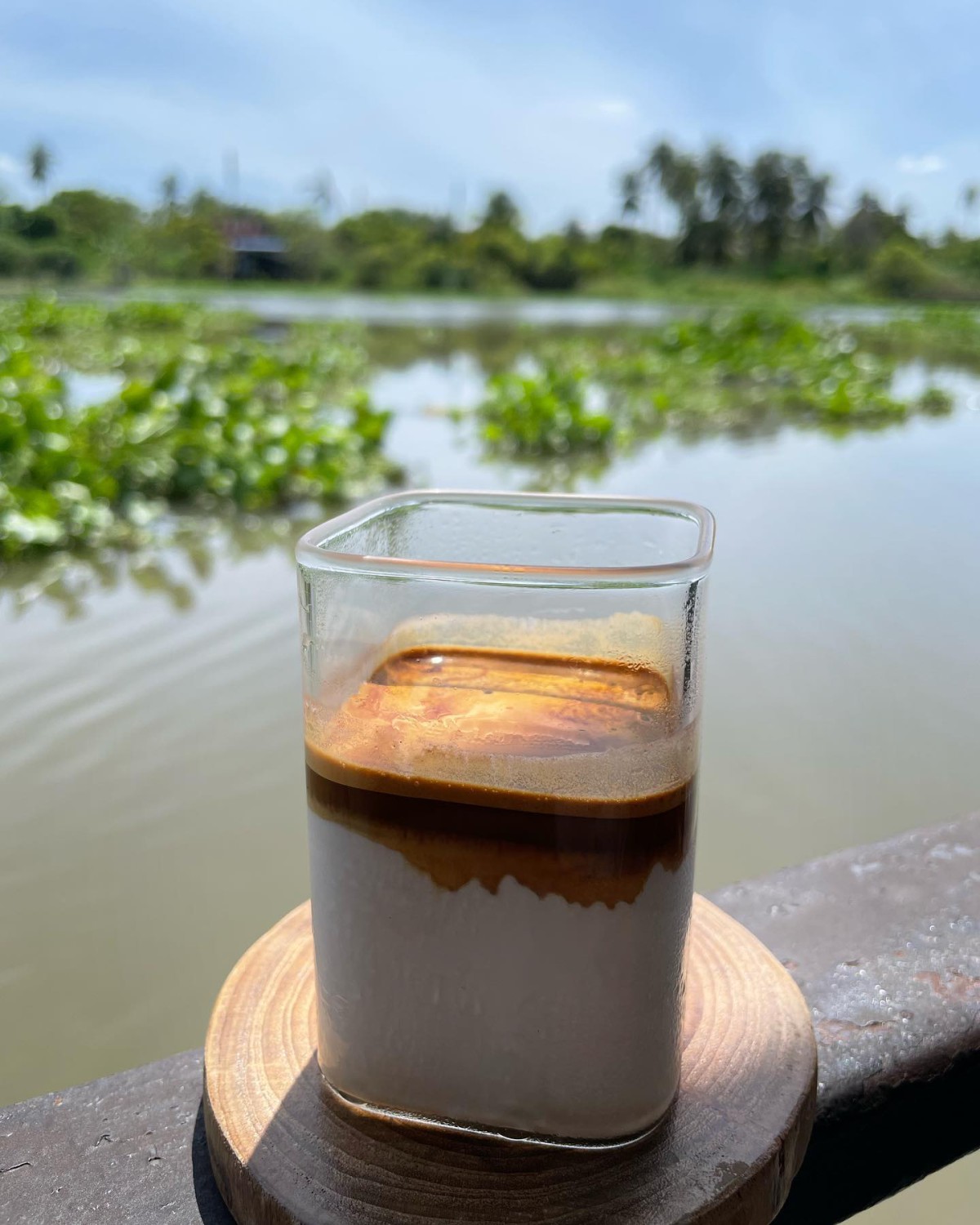 The Sine Cafe’, Whispering cafe, รักษ์น้ำคาเฟ่, Orenchi Cafe, KAWA Coffee and Co., Orenchi Specialty Coffee, Attitude Coffee, Memory House Cafe, In Garden Hut Cafe, ChataThammachart, She's The Legend Cafe, RIVA floating cafe, Good Mood House, นึก คาเฟ่ - วัดไร่ขิง, Ton Khao Terrace, CHADA Tea Boutique, Kark Crof.f