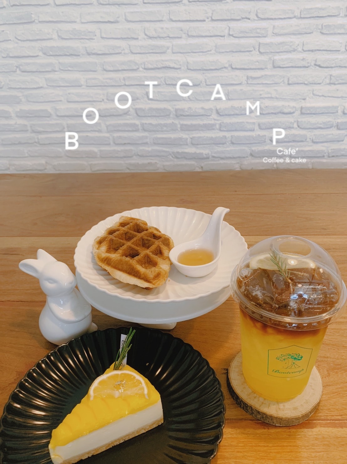 Cafeccini, Bootcamp Cafe, SUNKISS.bangkok, Nine Cafe, บ้านและเกสร, Dog Country Cafe, Kaffeehaus, คาเฟ่ บ้านหมี, หวานกรอบ Farm &amp; Cafe, Mamaison cafe, แสงตะวันฟาร์ม เมล่อนสาย4