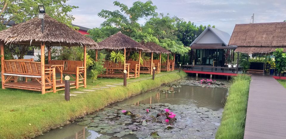 Autumn haus, YOJU Cafe, Lemon Me Farm, STARTCafé, Lot no.8 cafe, 23 cafe and bistro, STAY WITH TREE cafe, April Flavors cafe, Destiny cafe', บ้านปายนา, DUBUA CAFE, House of Chandra - เสน่ห์จันทน์ , 11 Elephant Dessert Cafe, Hangar Cafe', Merce Cafe & Restaurant, Ton Khao Terrace, O2 Kaffee & Bistro, Pomelo Cafe, Little tree, Chinu Coffee